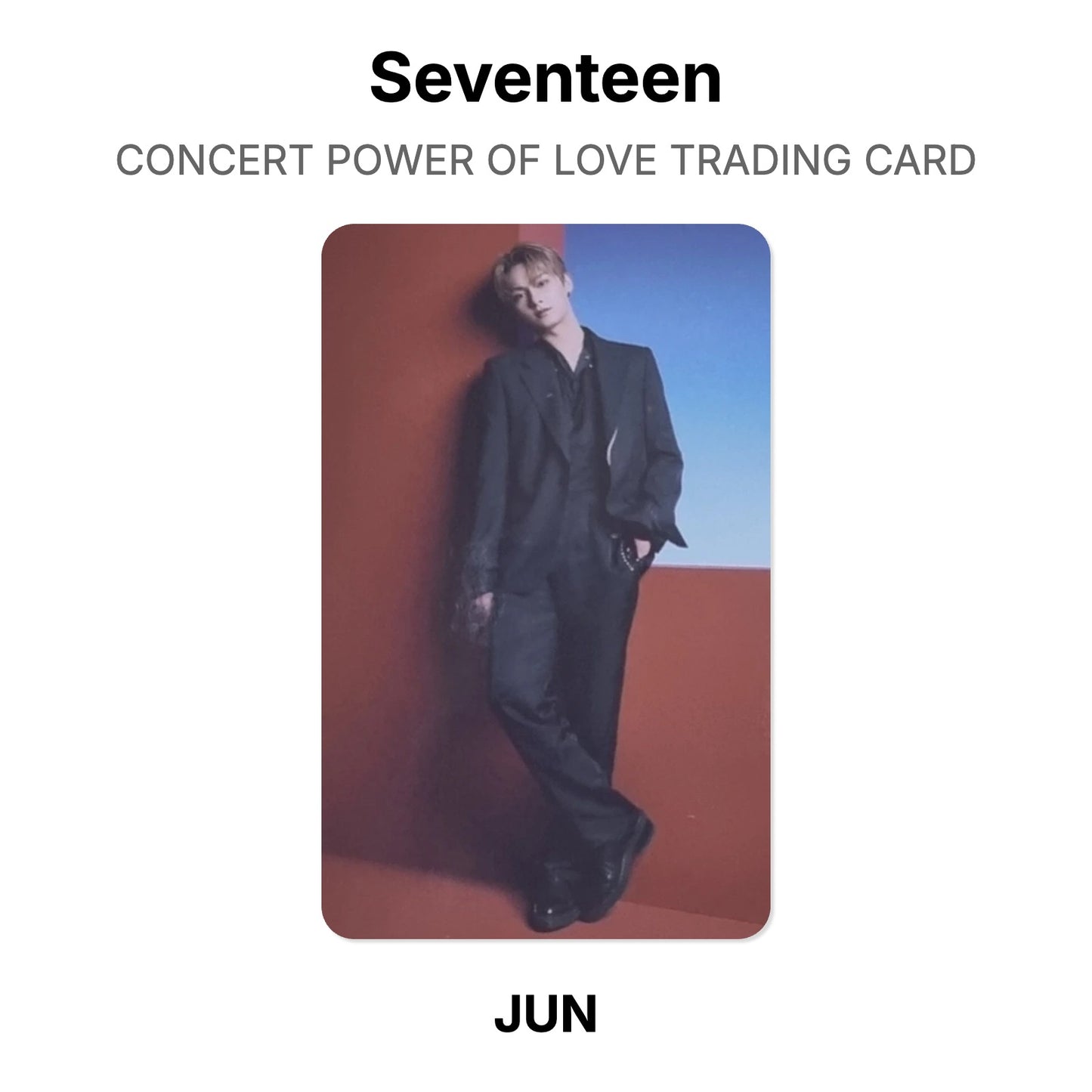 Seventeen CONCERT POWER OF LOVE TRADING CARD Official Photocard