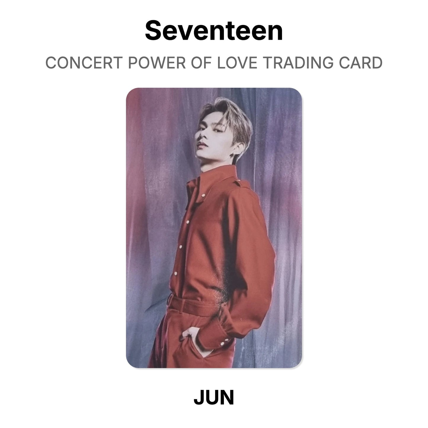 Seventeen CONCERT POWER OF LOVE TRADING CARD Official Photocard