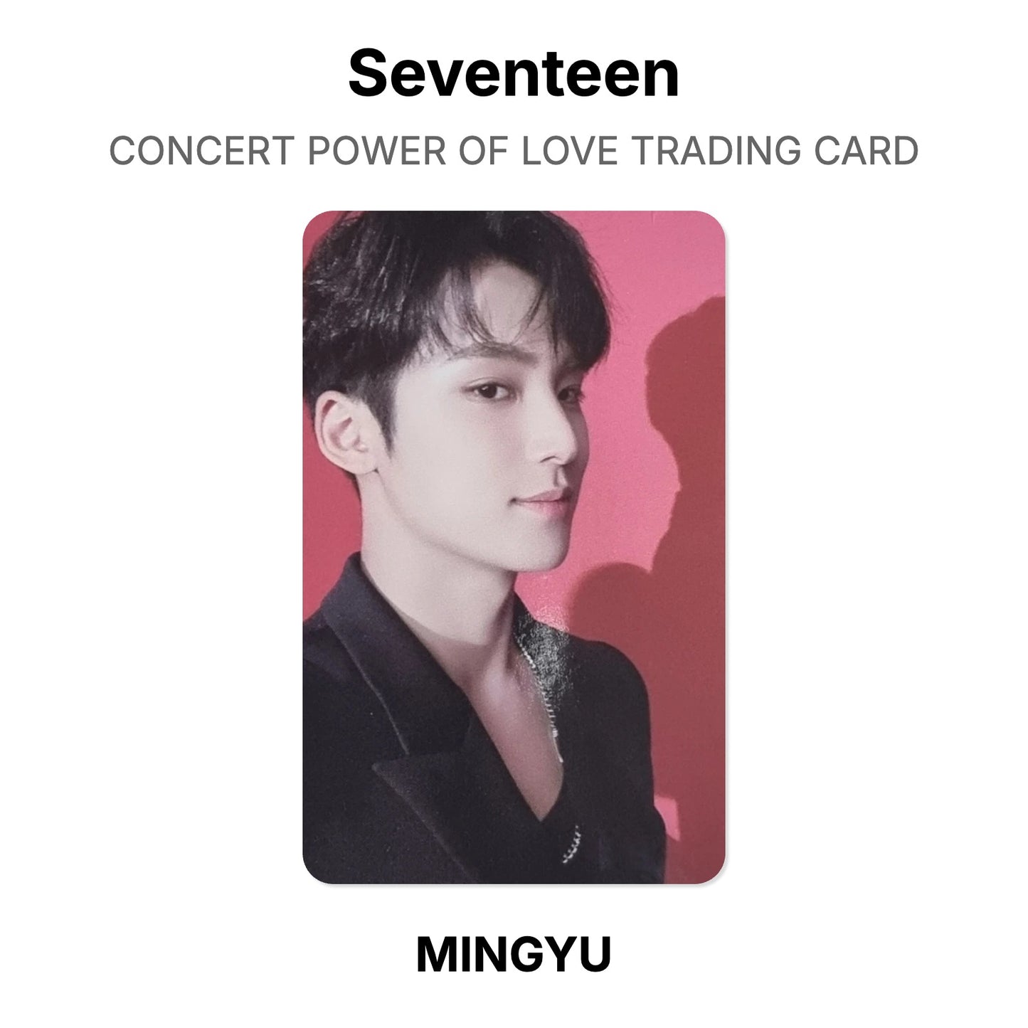 Seventeen CONCERT POWER OF LOVE TRADING CARD Official Photocard
