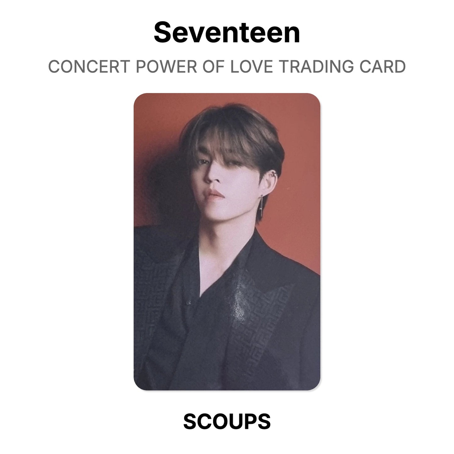 Seventeen CONCERT POWER OF LOVE TRADING CARD Official Photocard