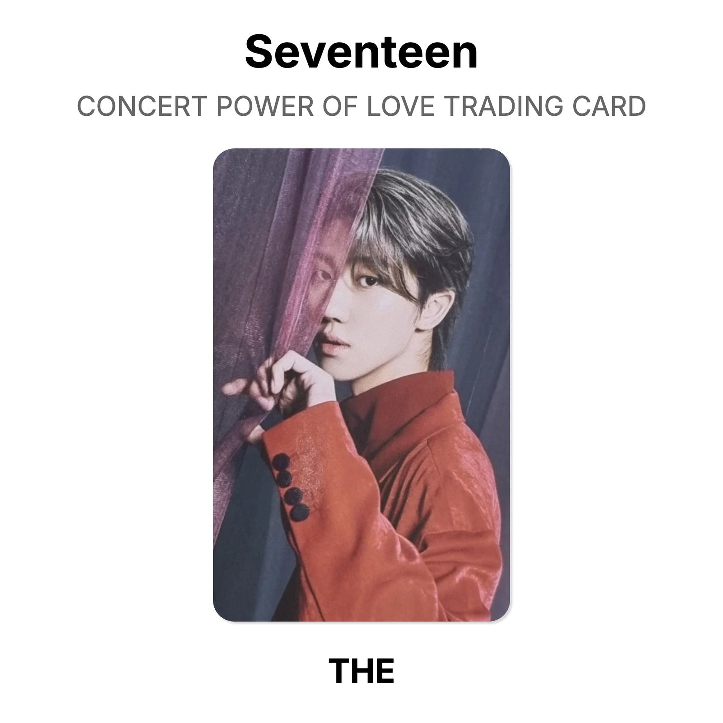 Seventeen CONCERT POWER OF LOVE TRADING CARD Official Photocard