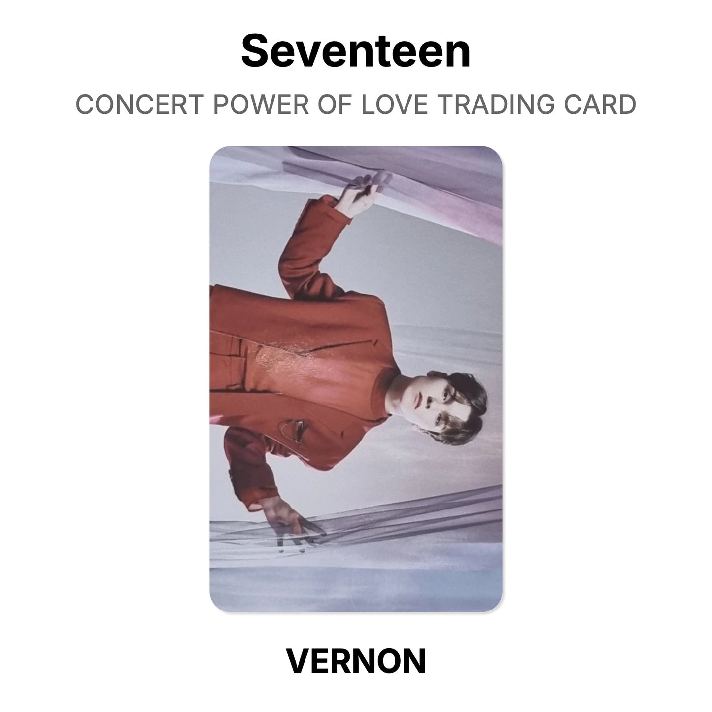 Seventeen CONCERT POWER OF LOVE TRADING CARD Official Photocard