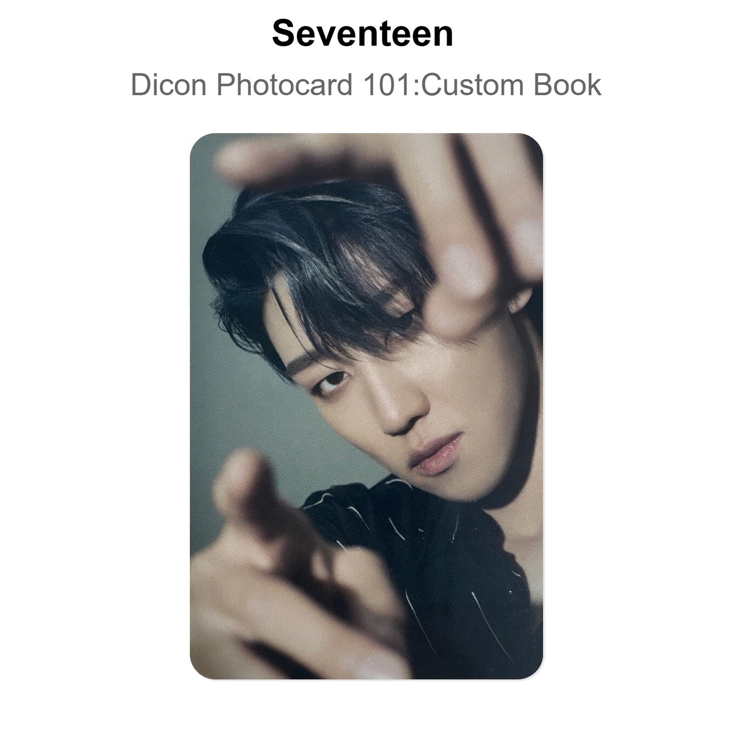 Seventeen Dicon Photocard 101:Custom Book /My Choice Is... Seventeen Since 2021In Seoul Official Photocard