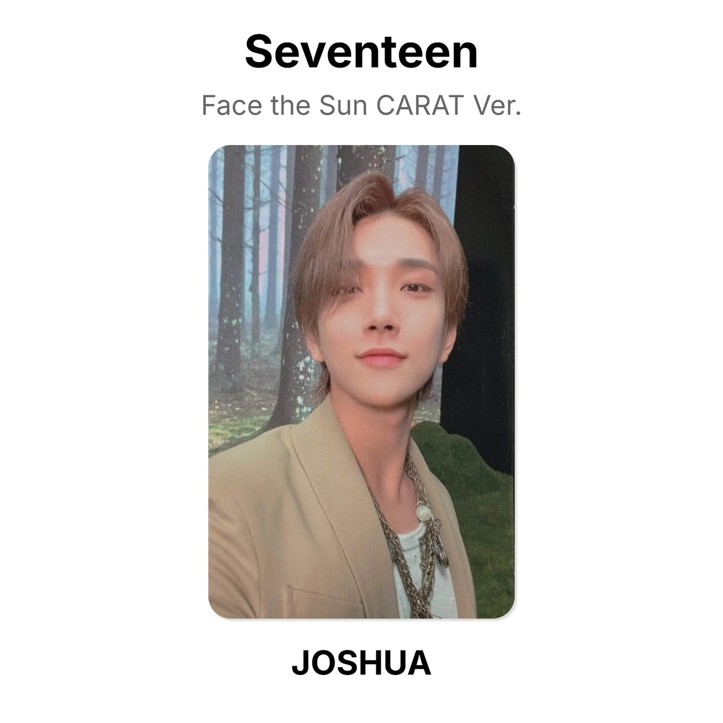 Seventeen Face the Sun CARAT Ver. Official Photocard