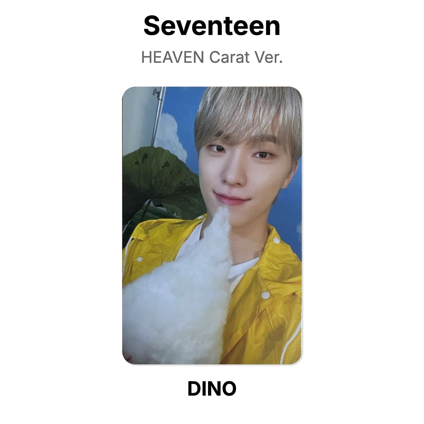 Seventeen SEVENTEENTH HEAVEN Carat Ver. Offizielle Photocard