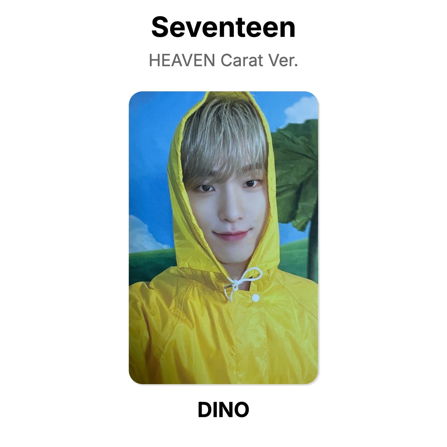 Seventeen SEVENTEENTH HEAVEN Carat Ver. Offizielle Photocard