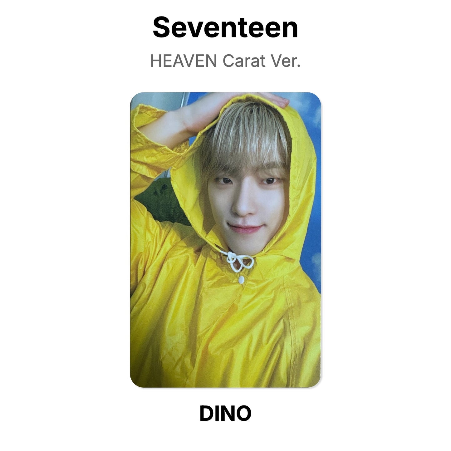 Seventeen SEVENTEENTH HEAVEN Carat Ver. Official Photocard