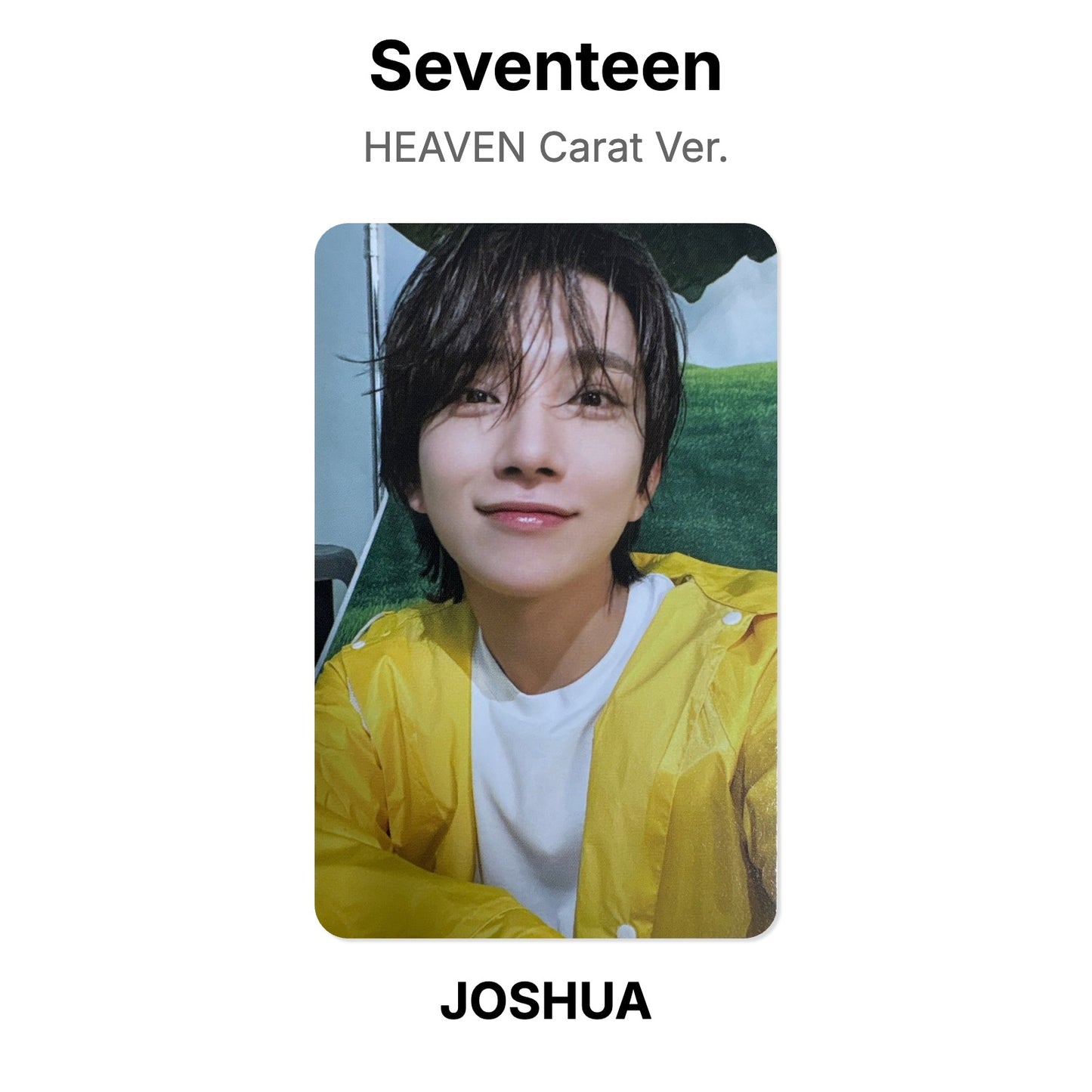 Seventeen SEVENTEENTH HEAVEN Carat Ver. Offizielle Photocard
