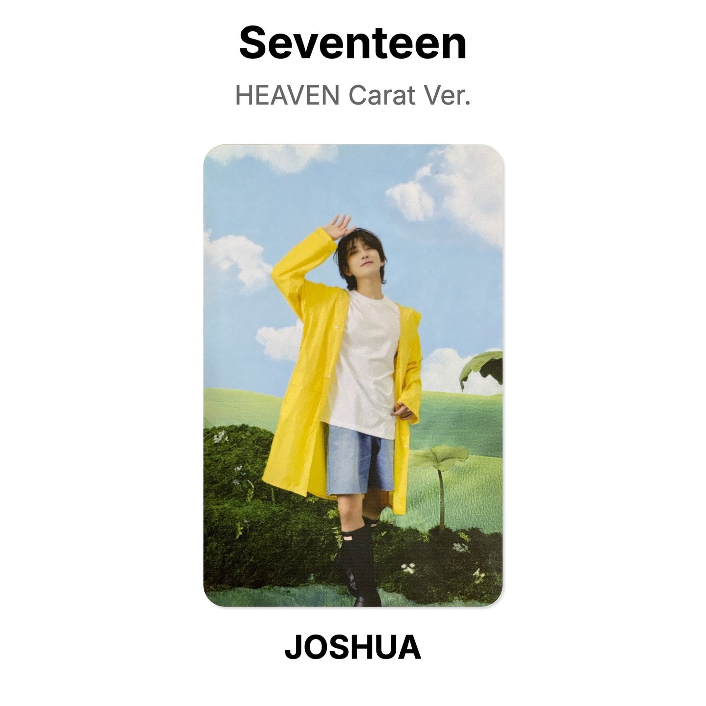 Seventeen SEVENTEENTH HEAVEN Carat Ver. Offizielle Photocard
