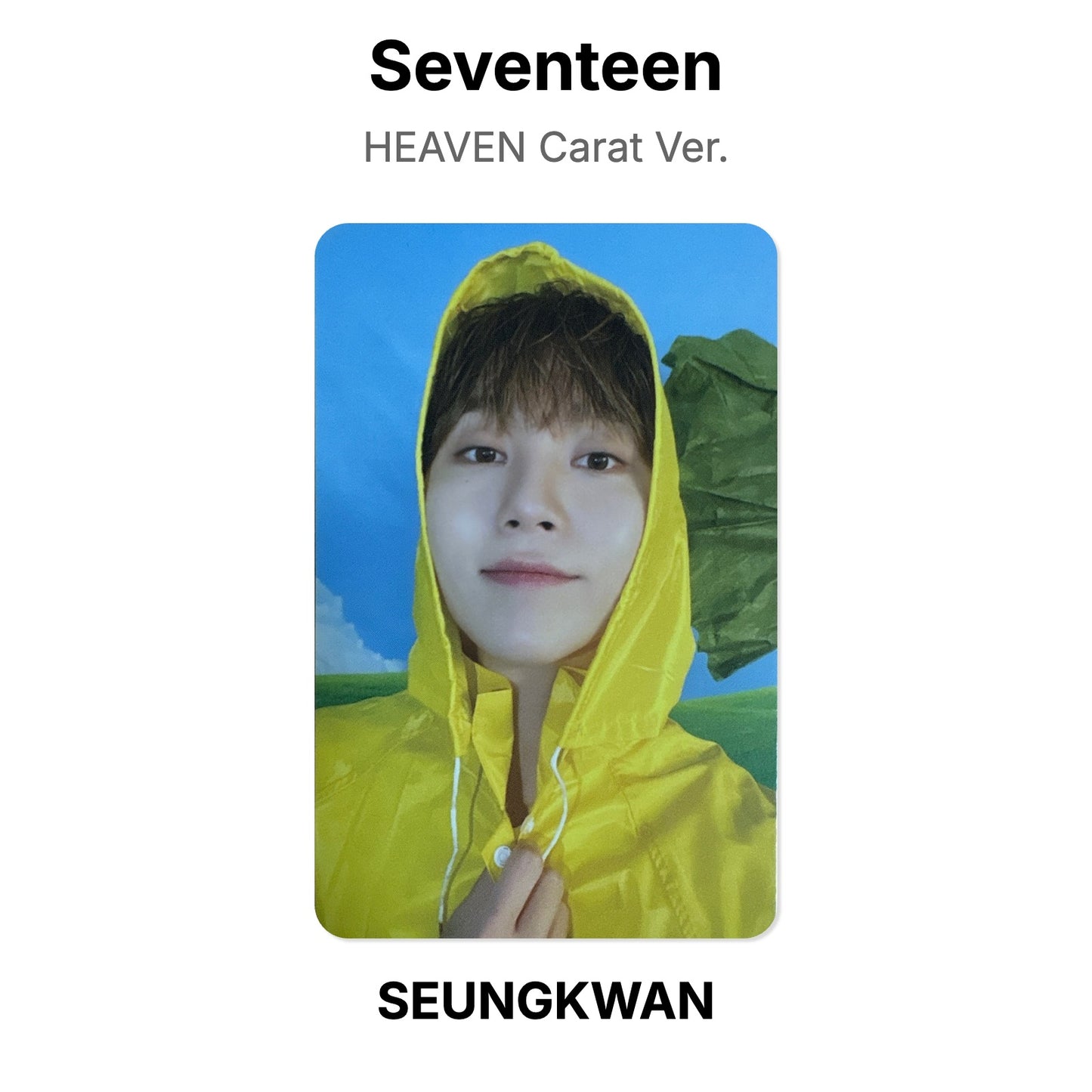 Seventeen SEVENTEENTH HEAVEN Carat Ver. Offizielle Photocard