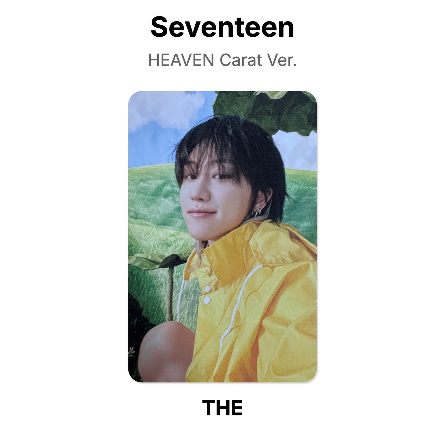 Seventeen SEVENTEENTH HEAVEN Carat Ver. Offizielle Photocard
