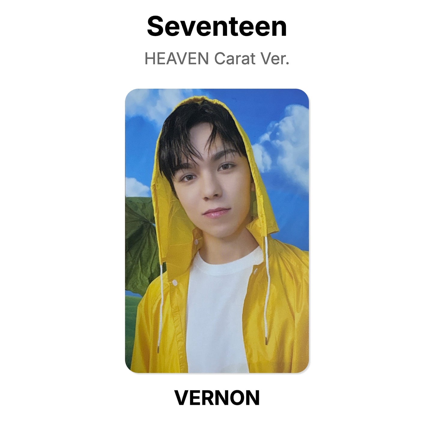 Seventeen SEVENTEENTH HEAVEN Carat Ver. Official Photocard