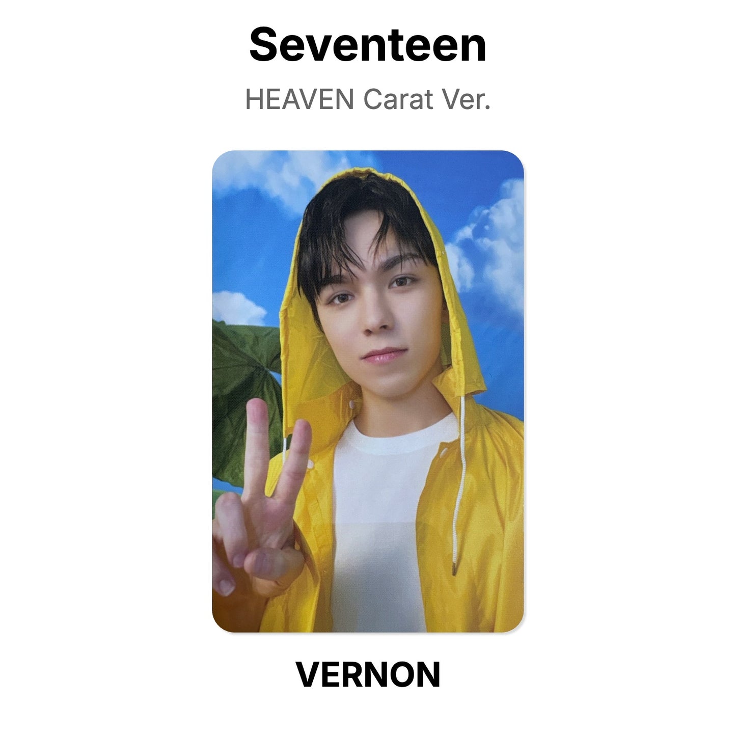 Seventeen SEVENTEENTH HEAVEN Carat Ver. Offizielle Photocard