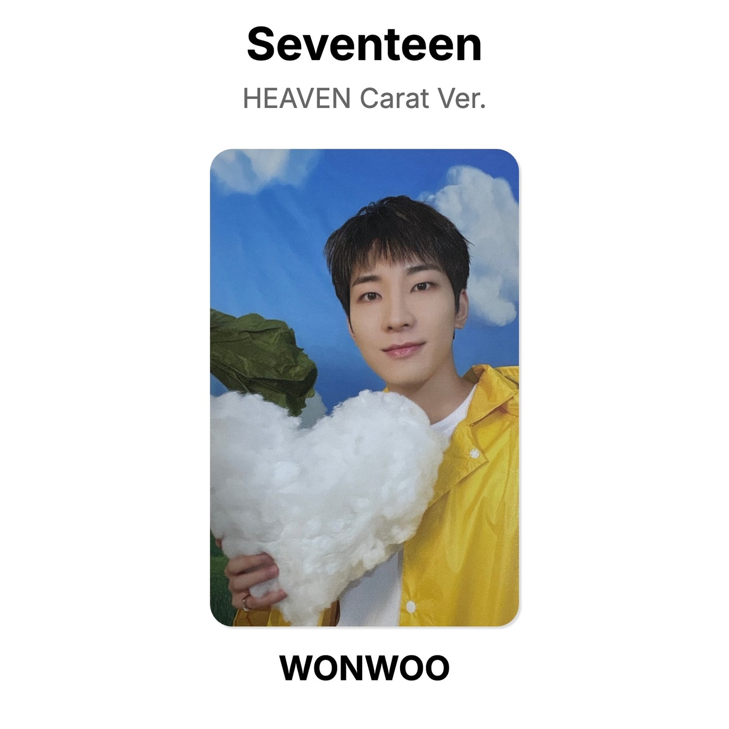 Seventeen SEVENTEENTH HEAVEN Carat Ver. Offizielle Photocard