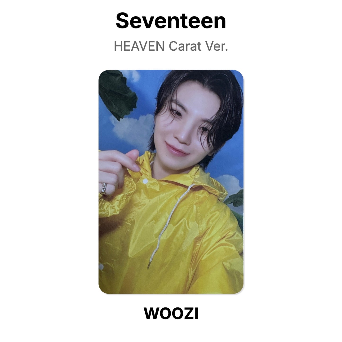 Seventeen SEVENTEENTH HEAVEN Carat Ver. Offizielle Photocard