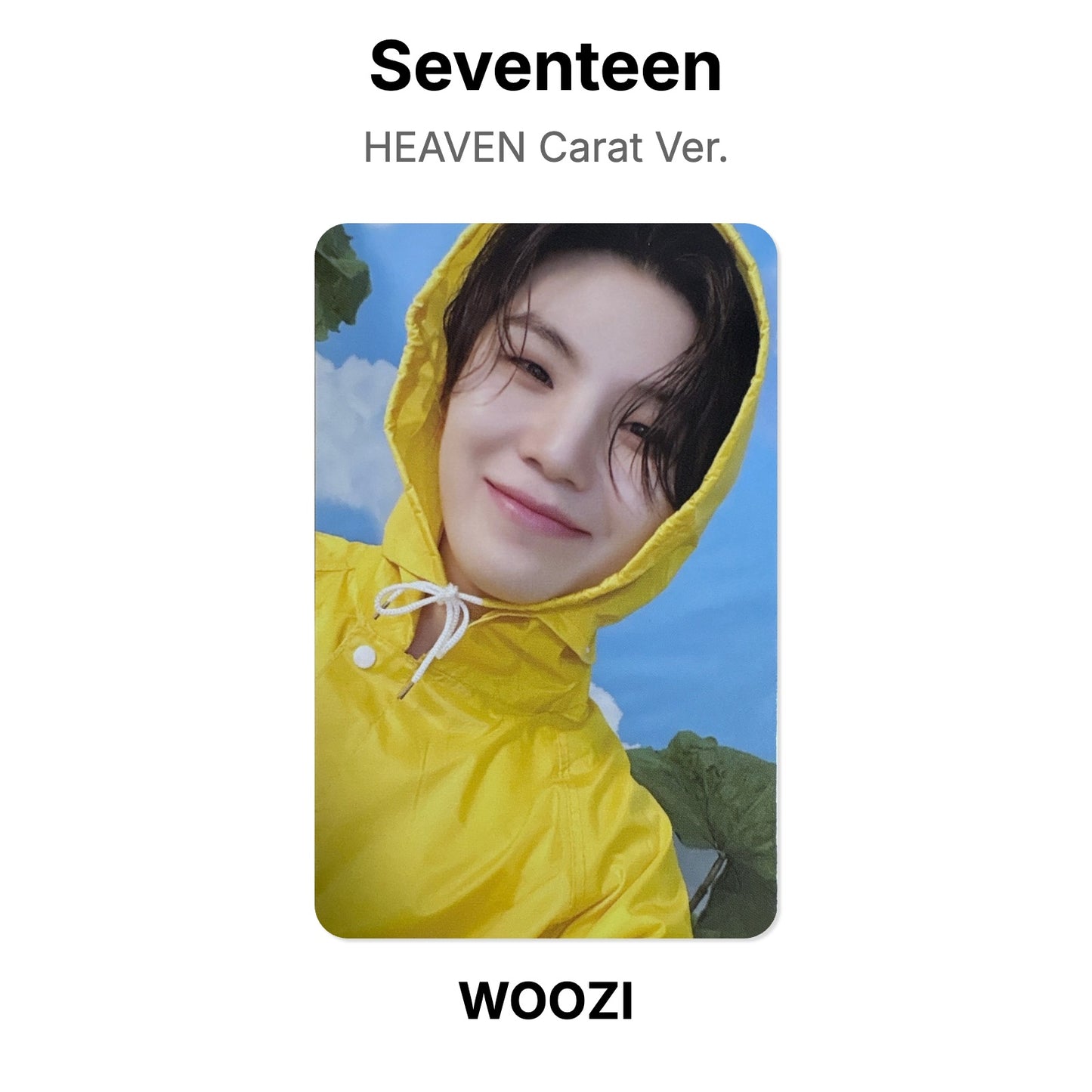 Seventeen SEVENTEENTH HEAVEN Carat Ver. Offizielle Photocard