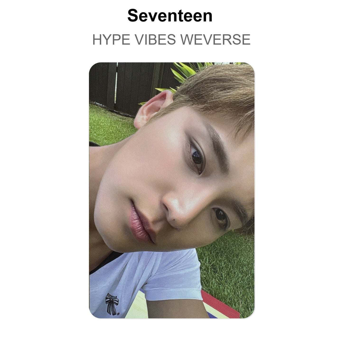 Seventeen HYPE VIBES WEVERSE photocard ufficiale