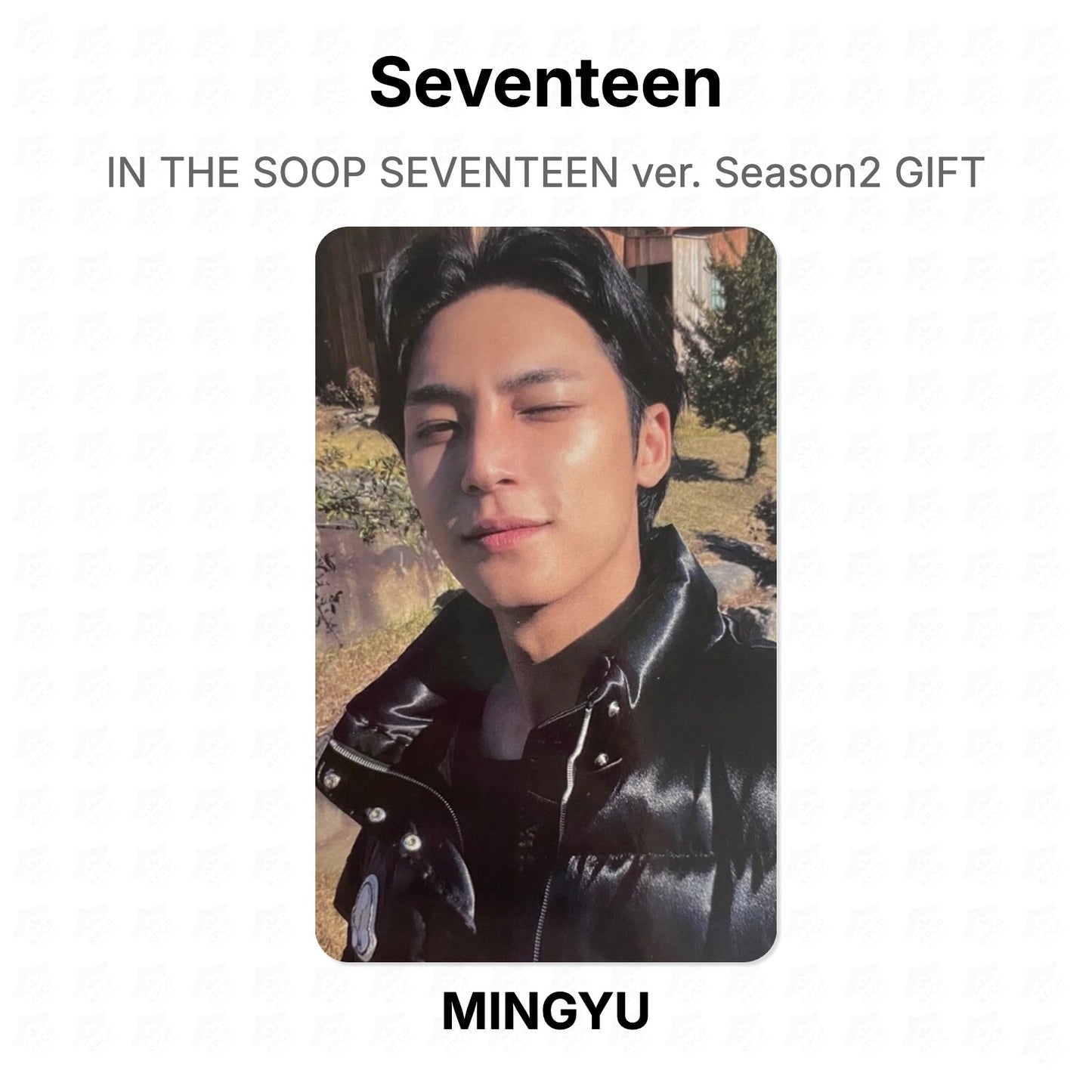 Seventeen IN THE SOOP SEVENTEEN ver. Season2 GIFT Official Photocard