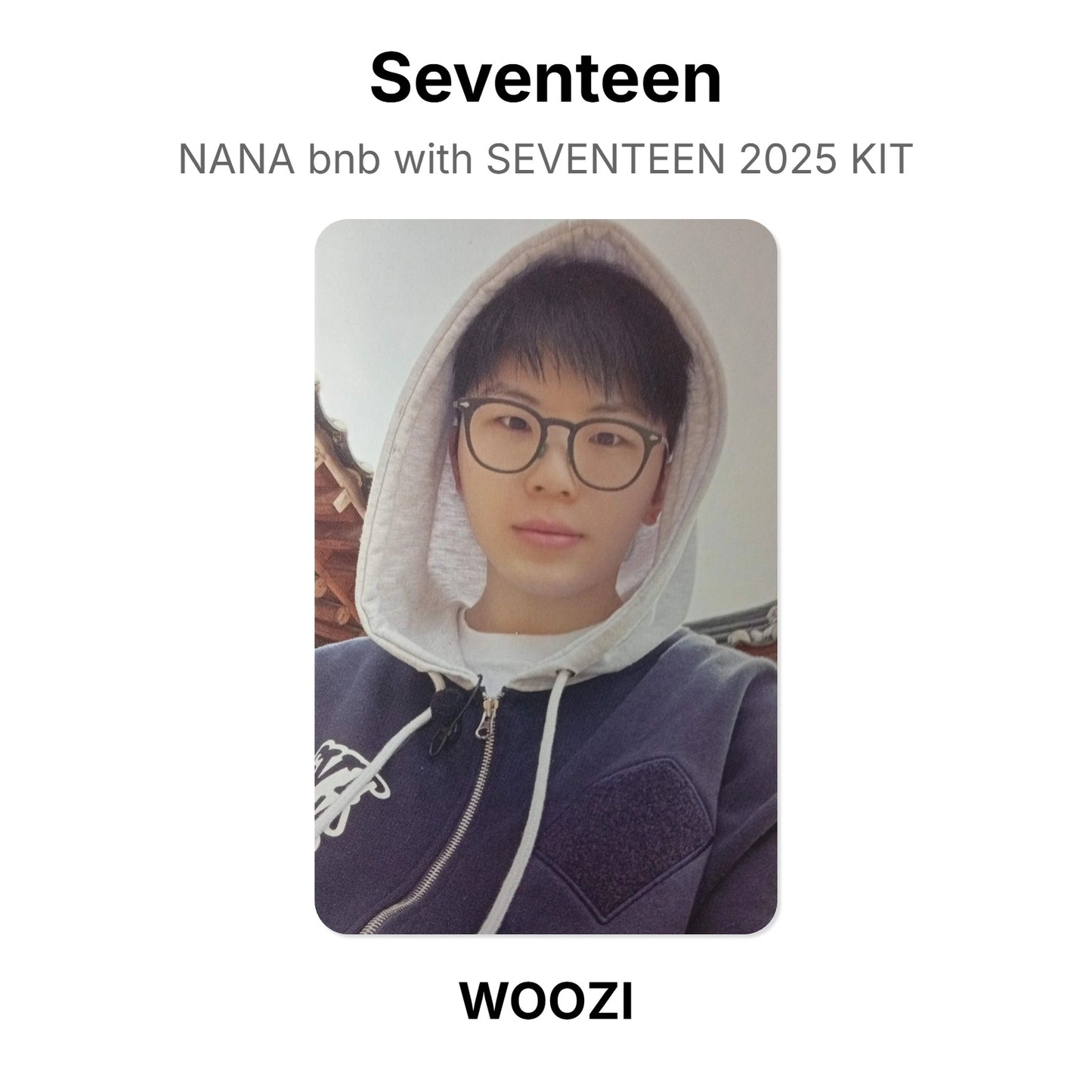 Seventeen NANA bnb with SEVENTEEN 2025 KIT Offizielle Photocard