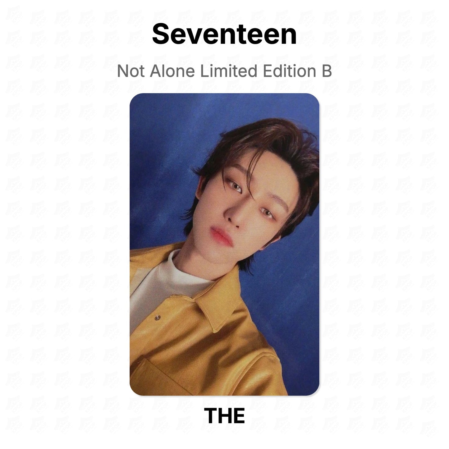 Seventeen Not Alone Limited Edition B Official Photocard