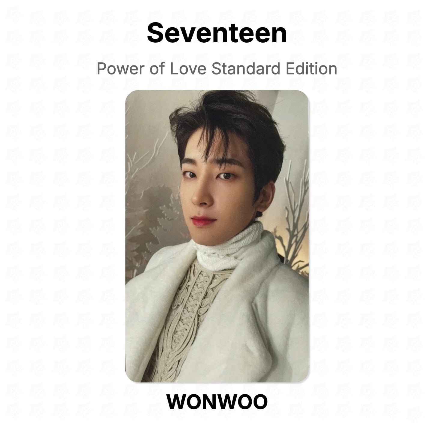 Seventeen Power of Love Standard Edition Official Photocard