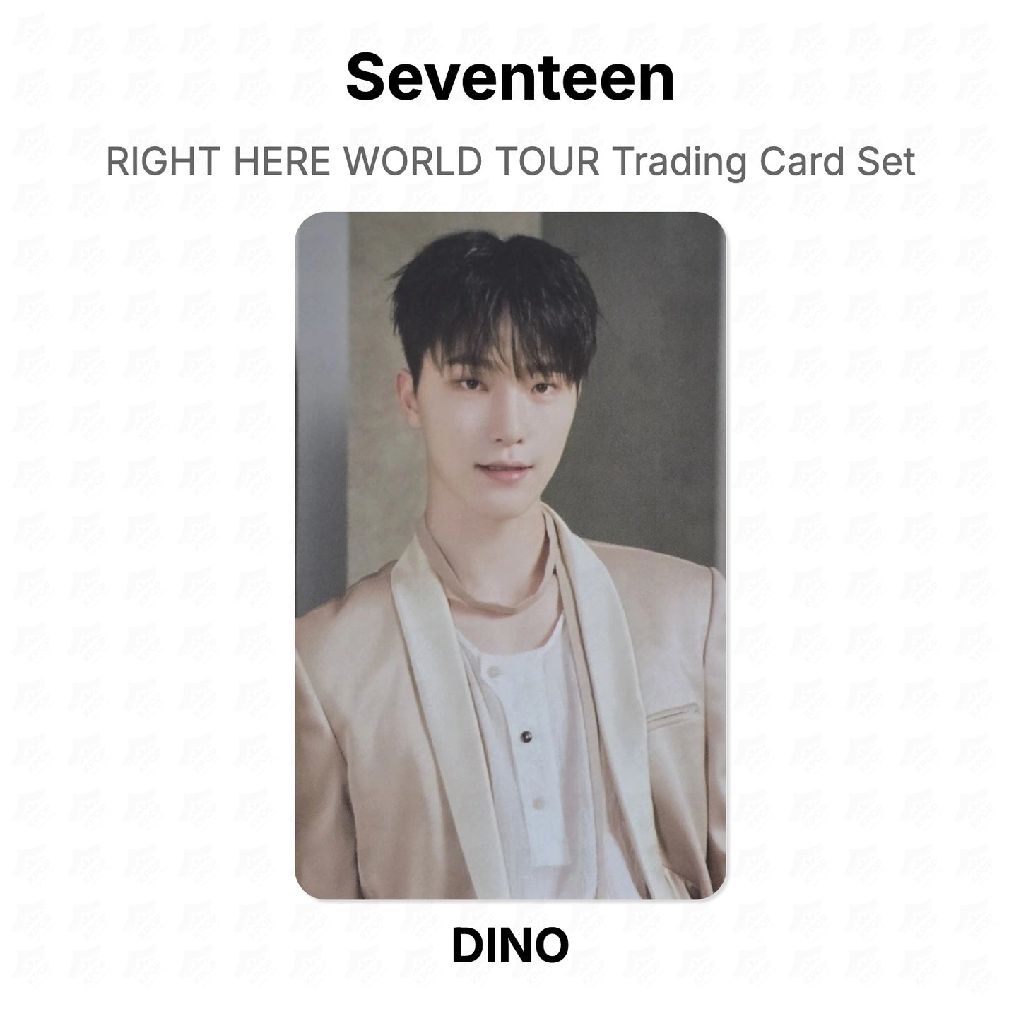 Seventeen RIGHT HERE WORLD TOUR Trading Card Set Official Photocard