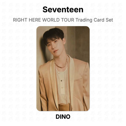 Seventeen RIGHT HERE WORLD TOUR Trading Card Set Official Photocard