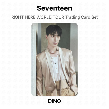 Seventeen RIGHT HERE WORLD TOUR Trading Card Set Official Photocard