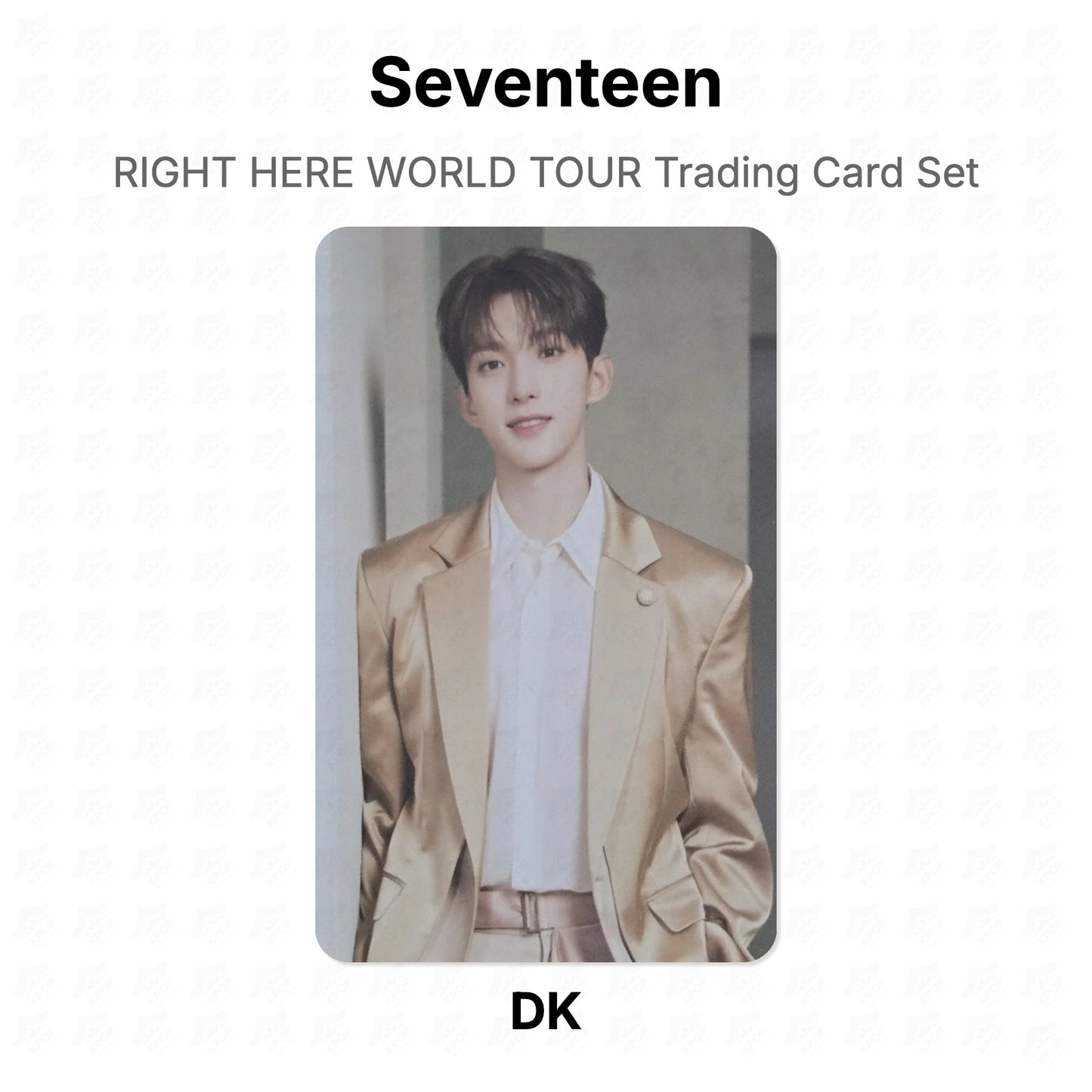 Seventeen RIGHT HERE WORLD TOUR Trading Card Set Official Photocard