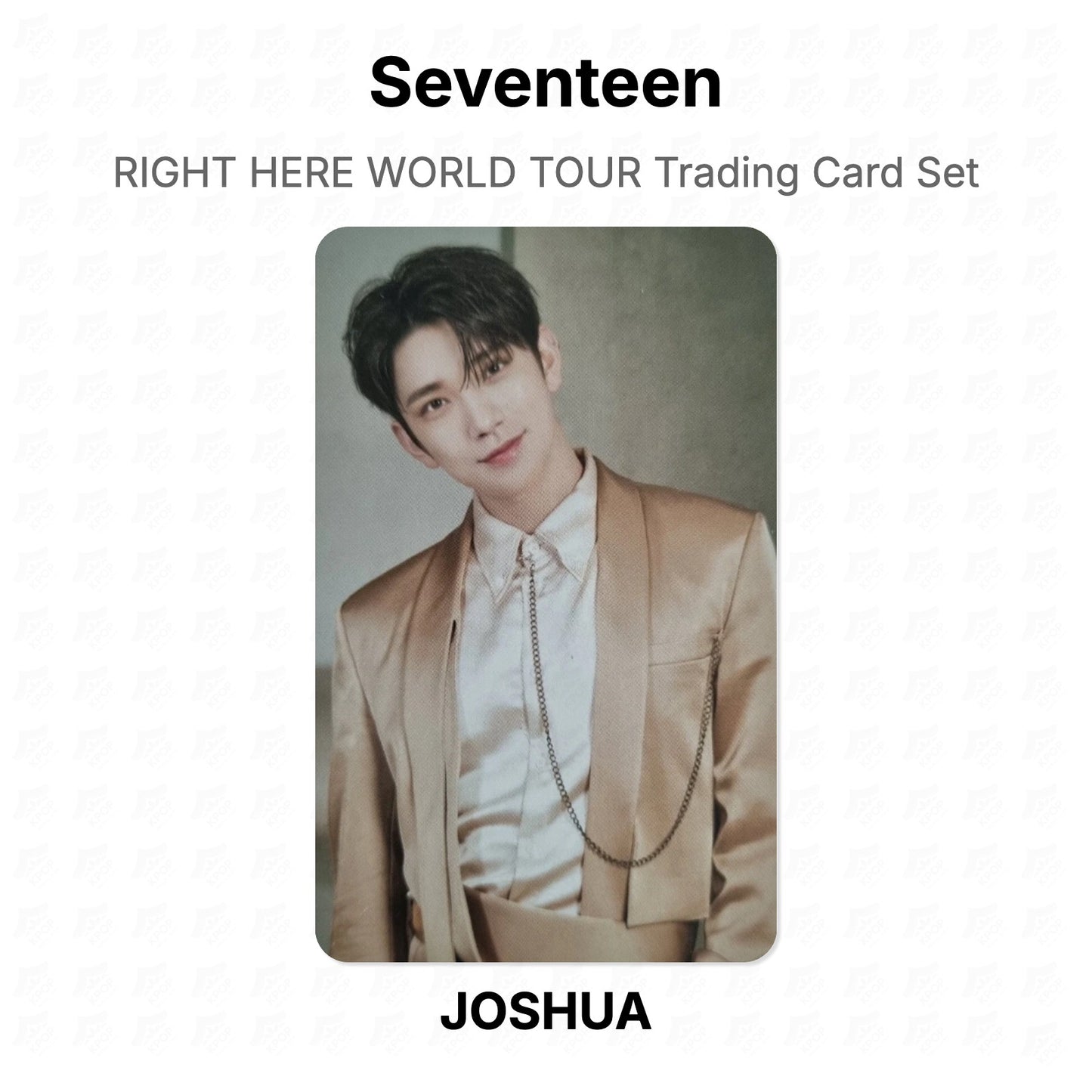 Seventeen RIGHT HERE WORLD TOUR Trading Card Set Official Photocard