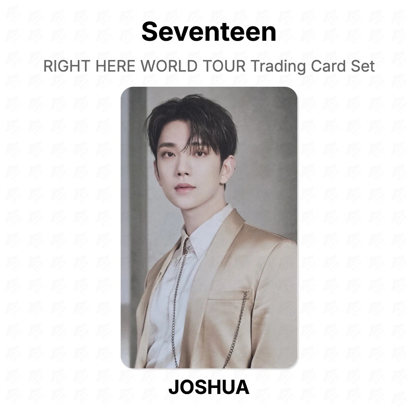 Seventeen RIGHT HERE WORLD TOUR Trading Card Set Official Photocard
