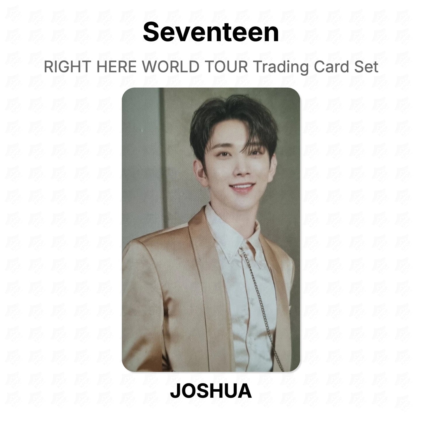 Seventeen RIGHT HERE WORLD TOUR Trading Card Set Official Photocard