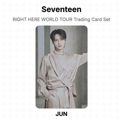 Seventeen RIGHT HERE WORLD TOUR Trading Card Set Official Photocard