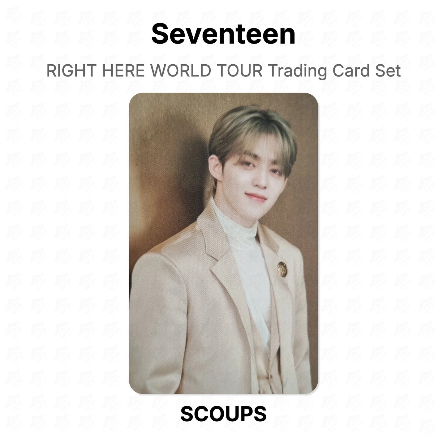 Seventeen RIGHT HERE WORLD TOUR Trading Card Set Official Photocard