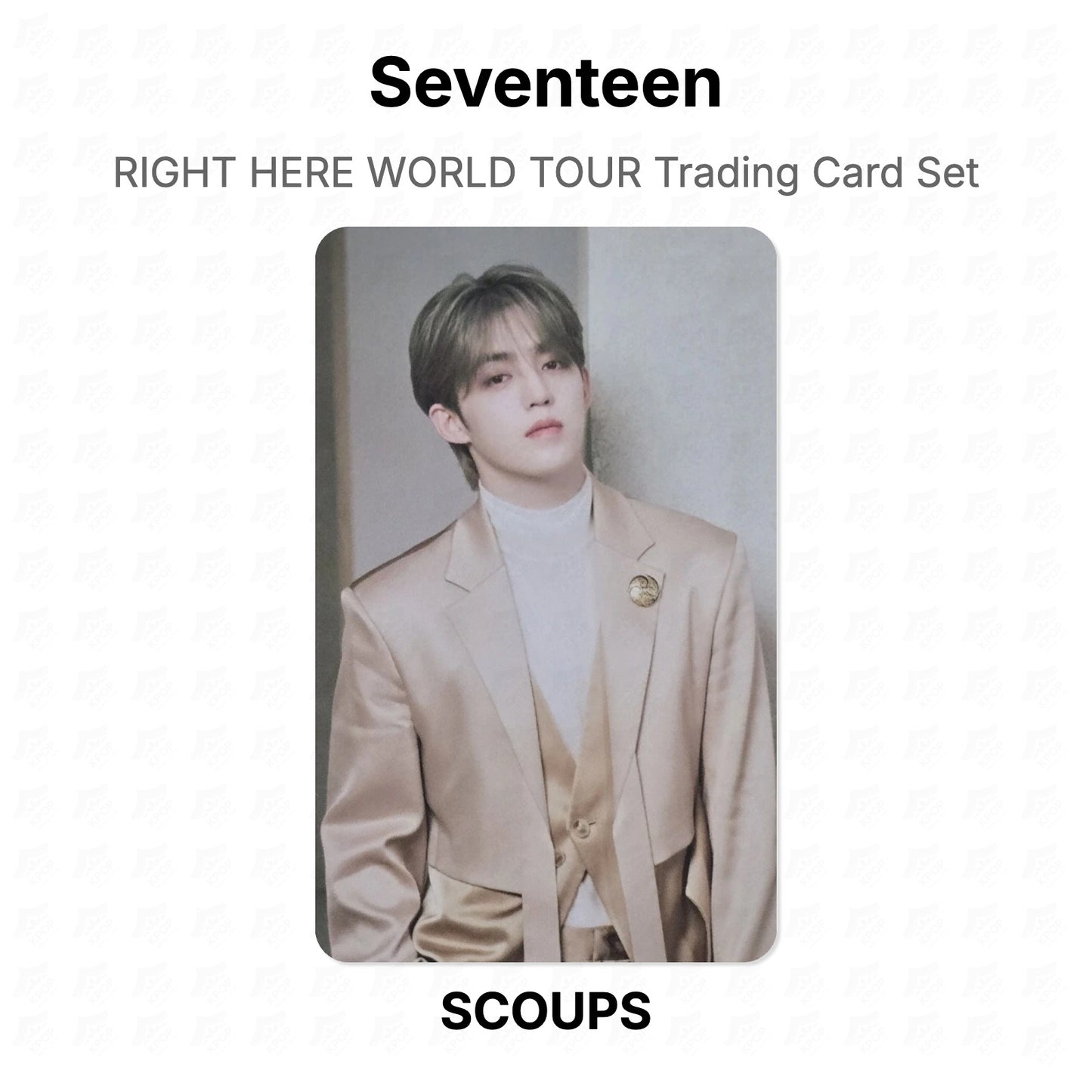 Seventeen RIGHT HERE WORLD TOUR Trading Card Set Official Photocard