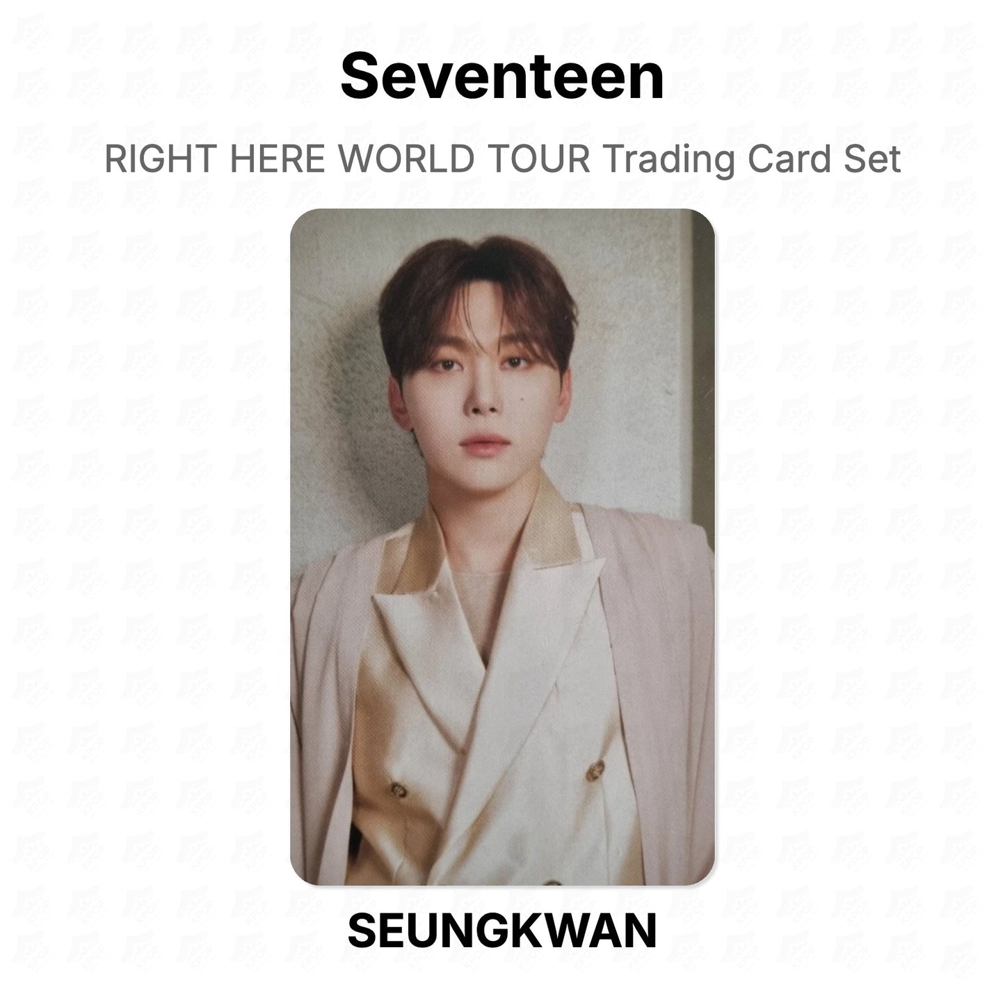 Seventeen RIGHT HERE WORLD TOUR Trading Card Set Official Photocard