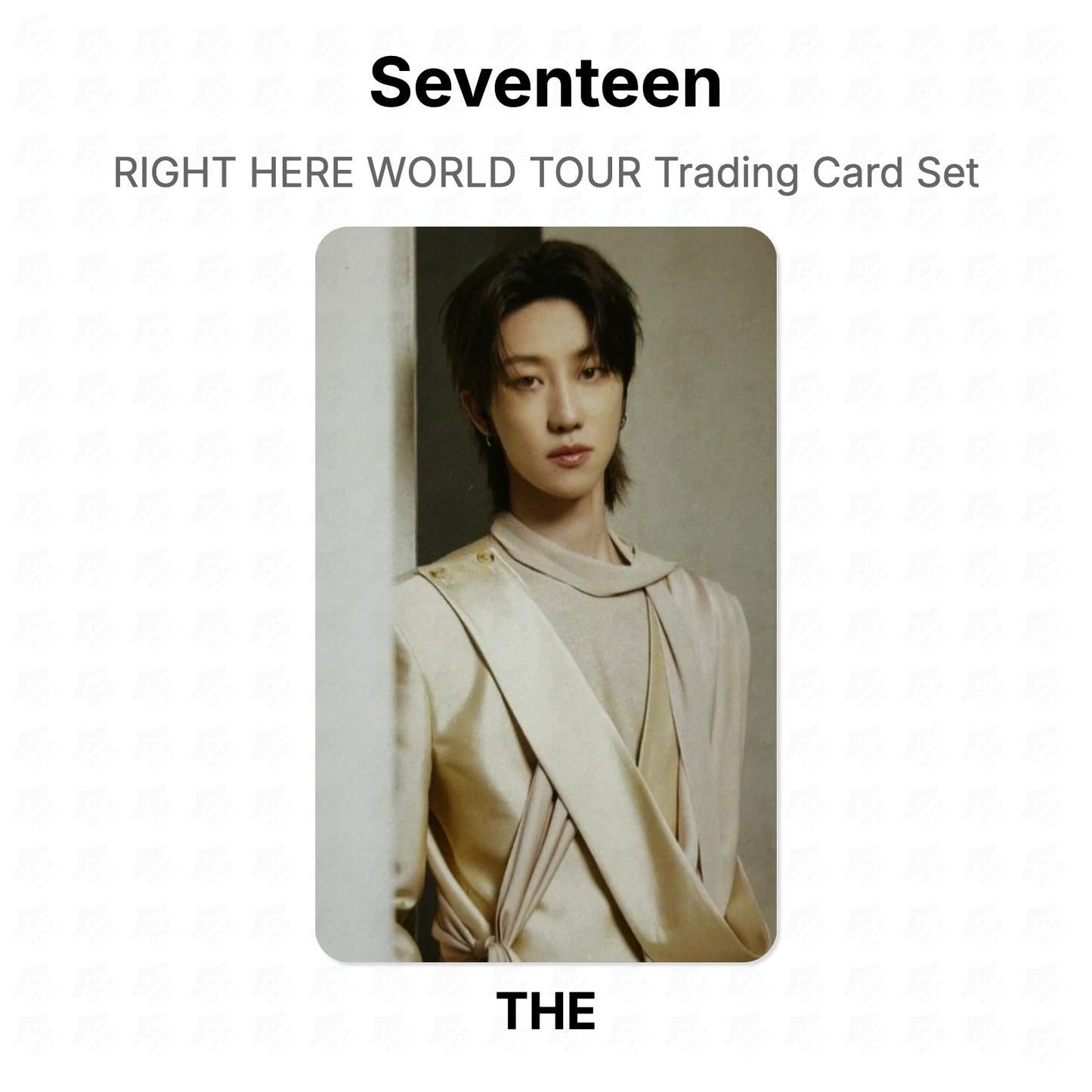 Seventeen RIGHT HERE WORLD TOUR Trading Card Set Official Photocard
