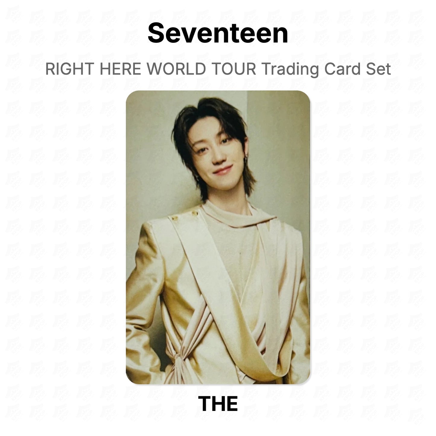 Seventeen RIGHT HERE WORLD TOUR Trading Card Set Official Photocard