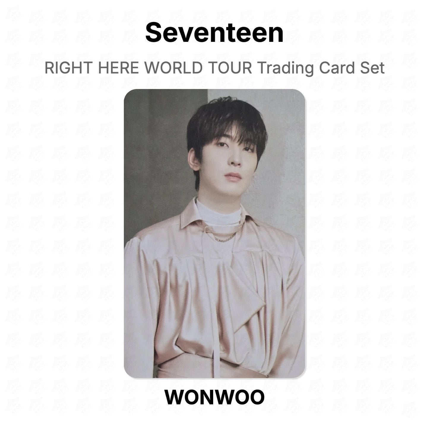 Seventeen RIGHT HERE WORLD TOUR Trading Card Set Official Photocard