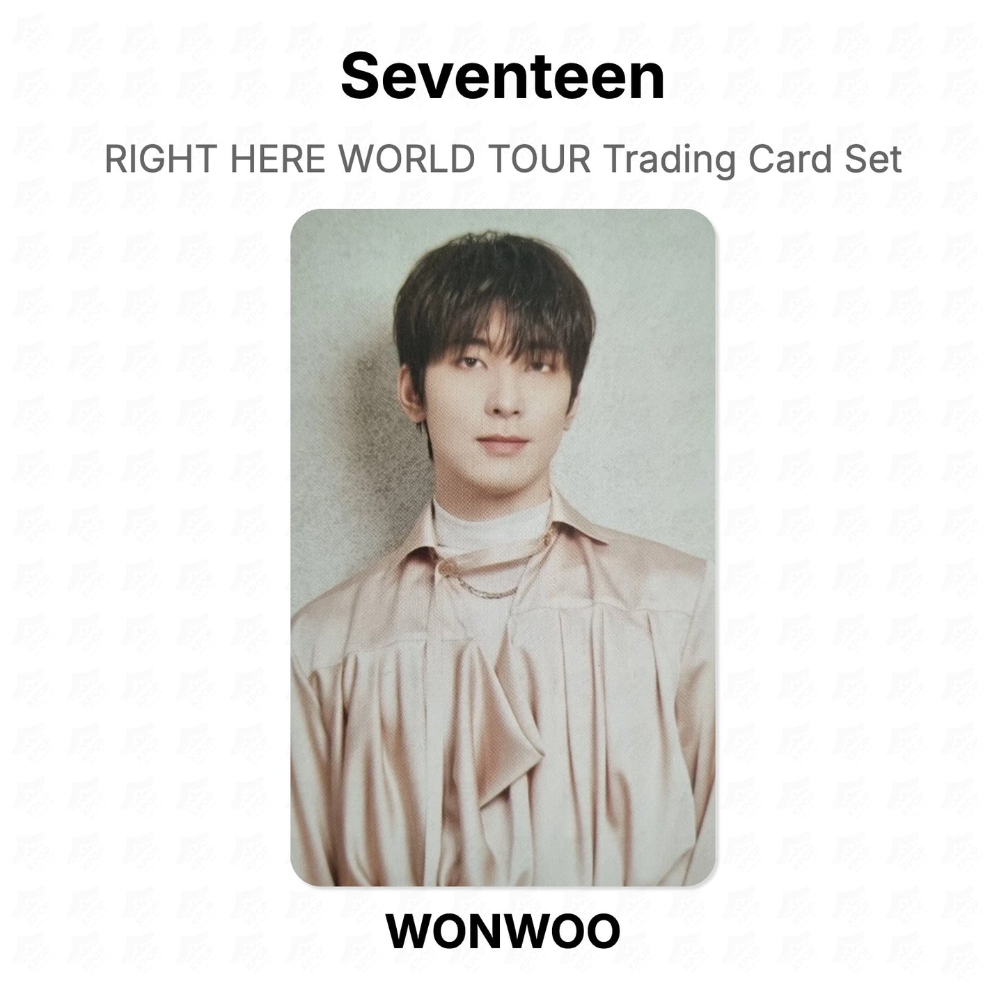 Seventeen RIGHT HERE WORLD TOUR Trading Card Set Official Photocard