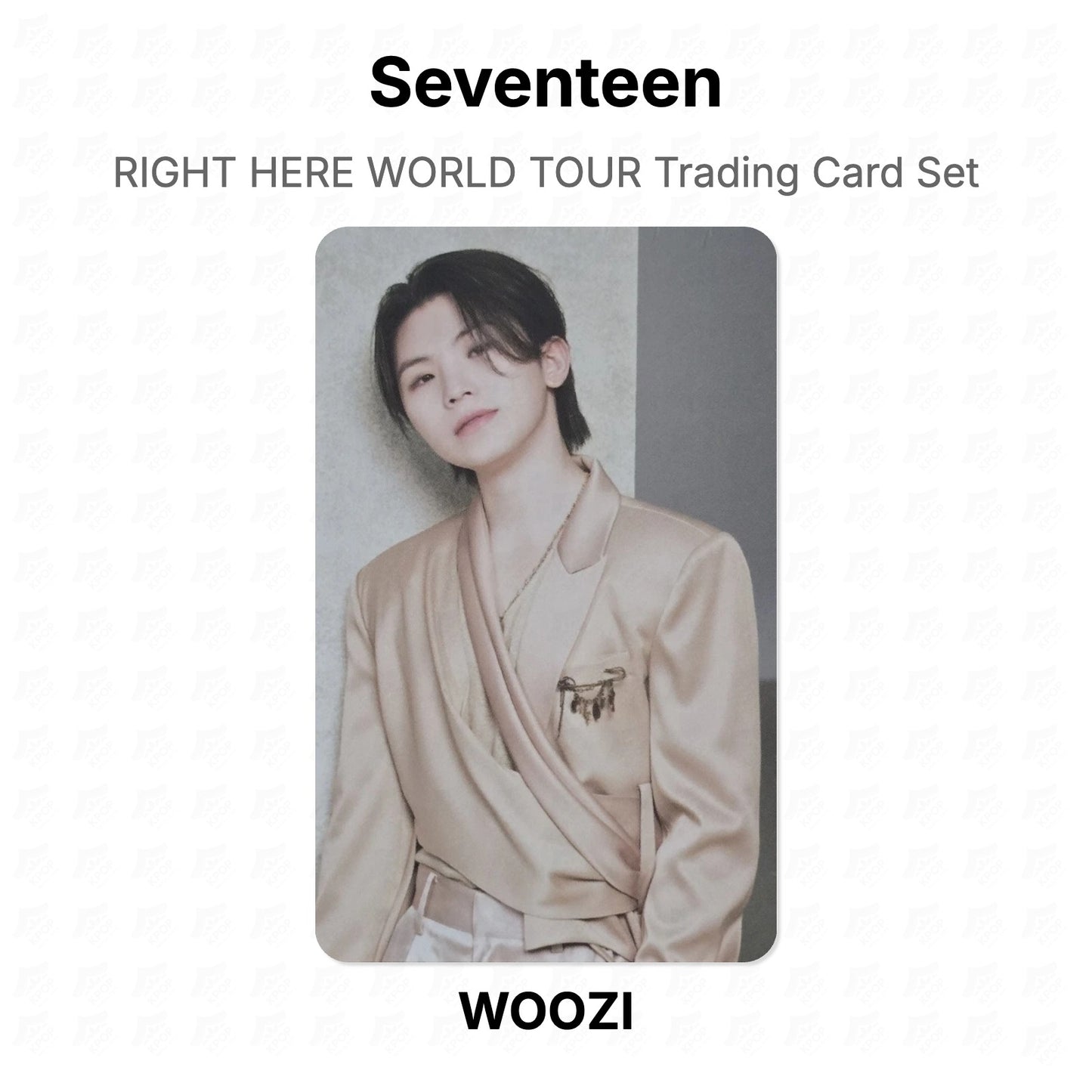 Seventeen RIGHT HERE WORLD TOUR Trading Card Set Official Photocard