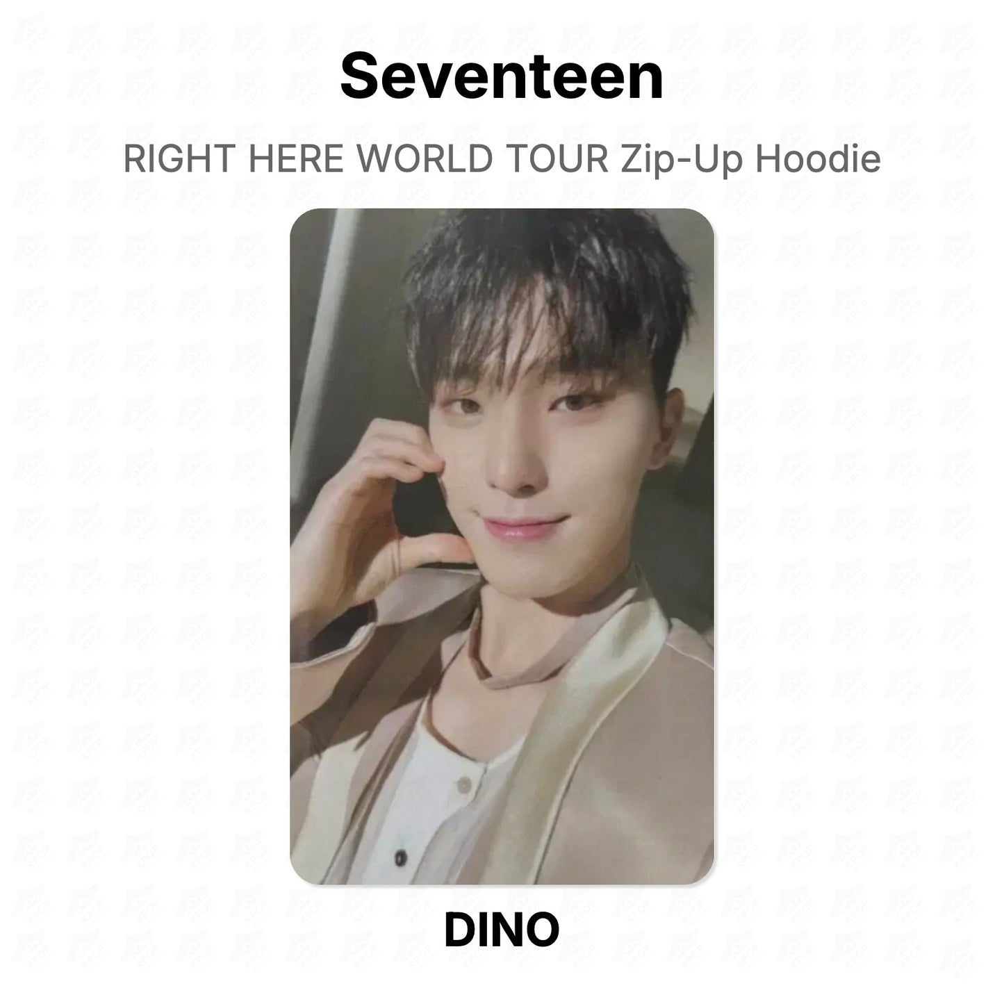 Seventeen RIGHT HERE WORLD TOUR Zip-Up Hoodie photocard officielle