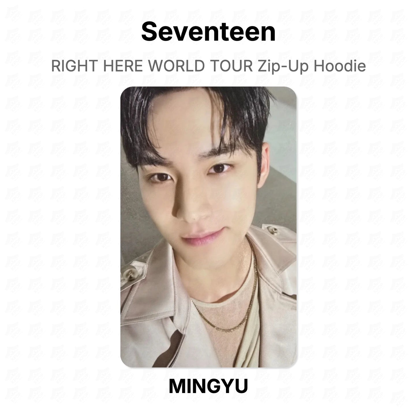 Seventeen RIGHT HERE WORLD TOUR Zip-Up Hoodie photocard officielle