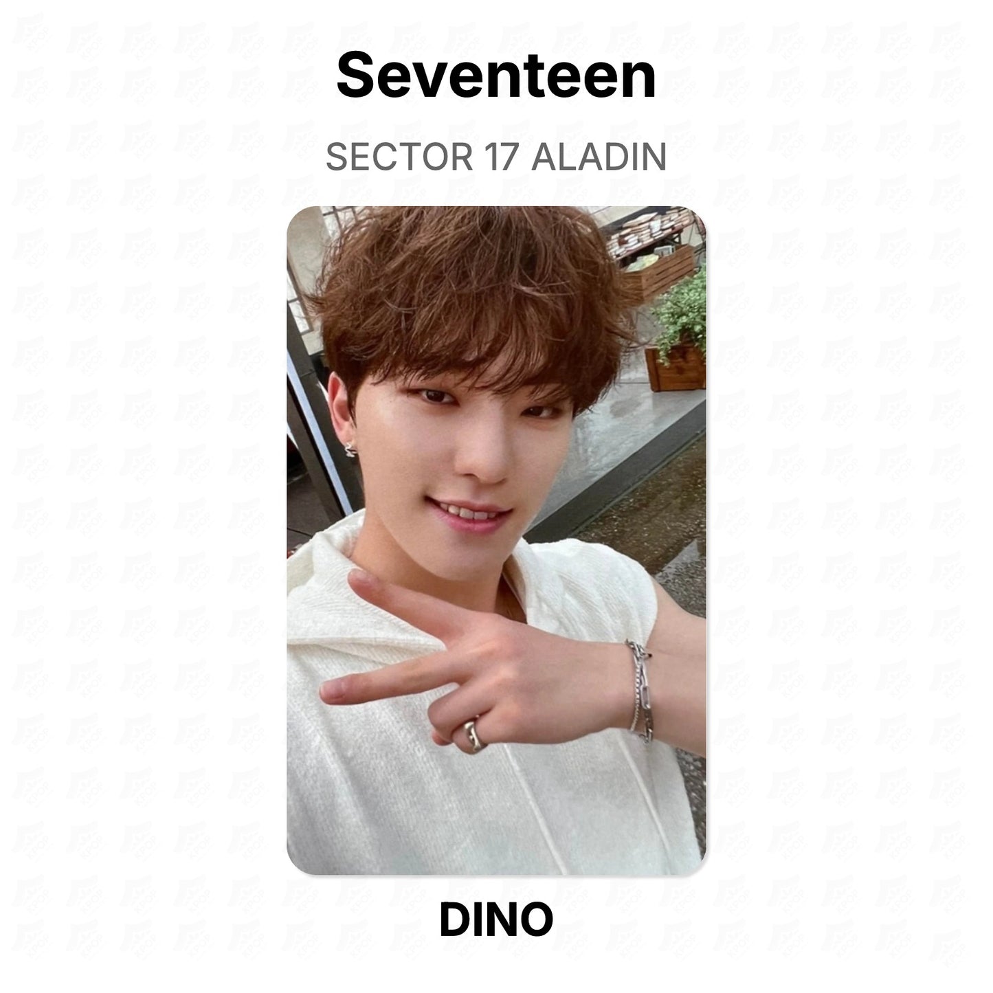 Seventeen SECTOR 17 ALADIN Official Photocard