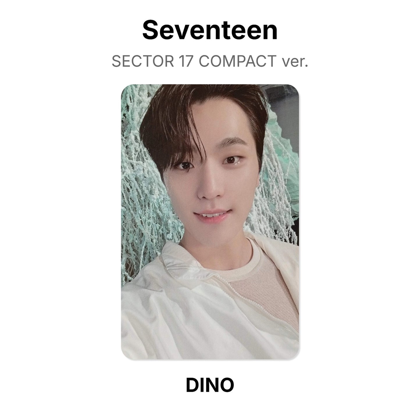 Seventeen SECTOR 17 COMPACT ver. Offizielle Photocard