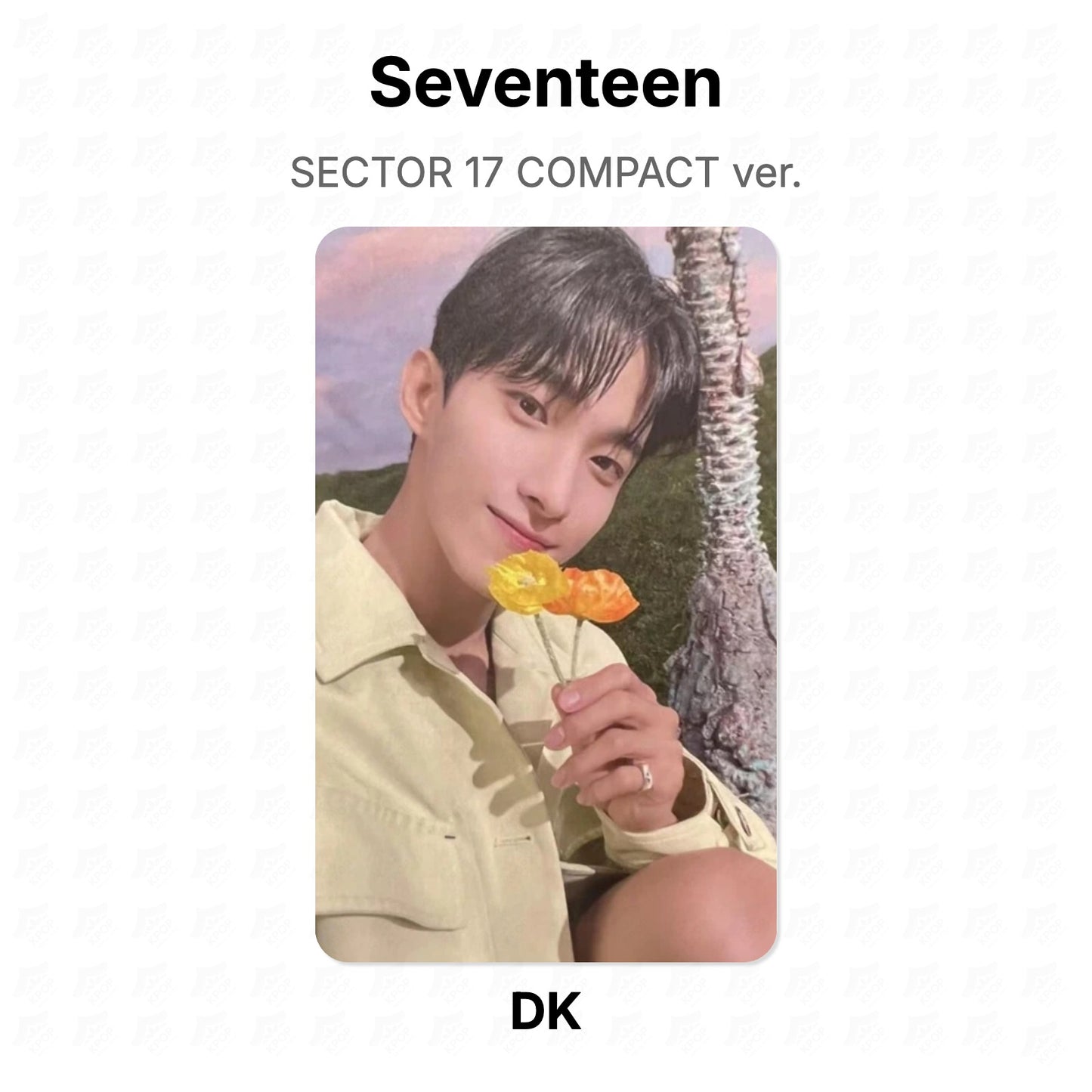 Seventeen SECTOR 17 COMPACT ver. Offizielle Photocard