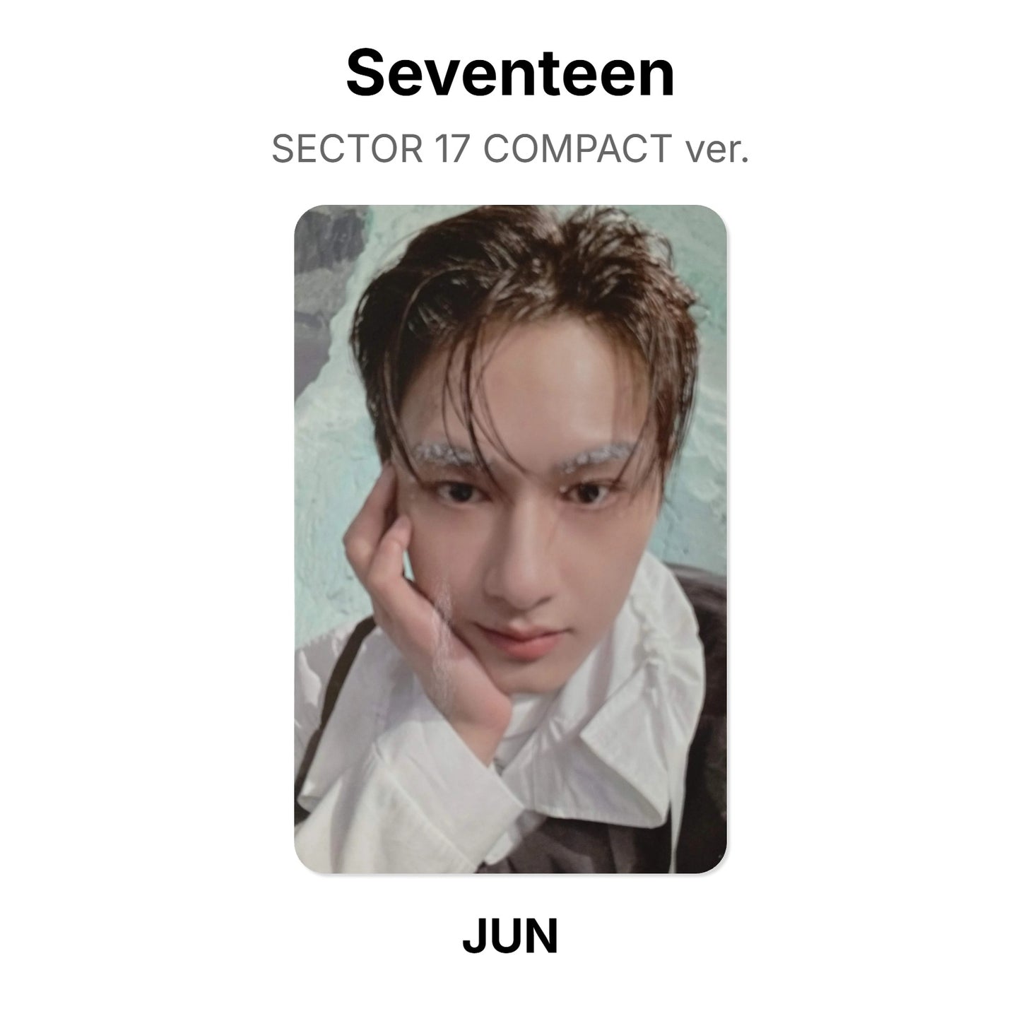Seventeen SECTOR 17 COMPACT ver. Offizielle Photocard