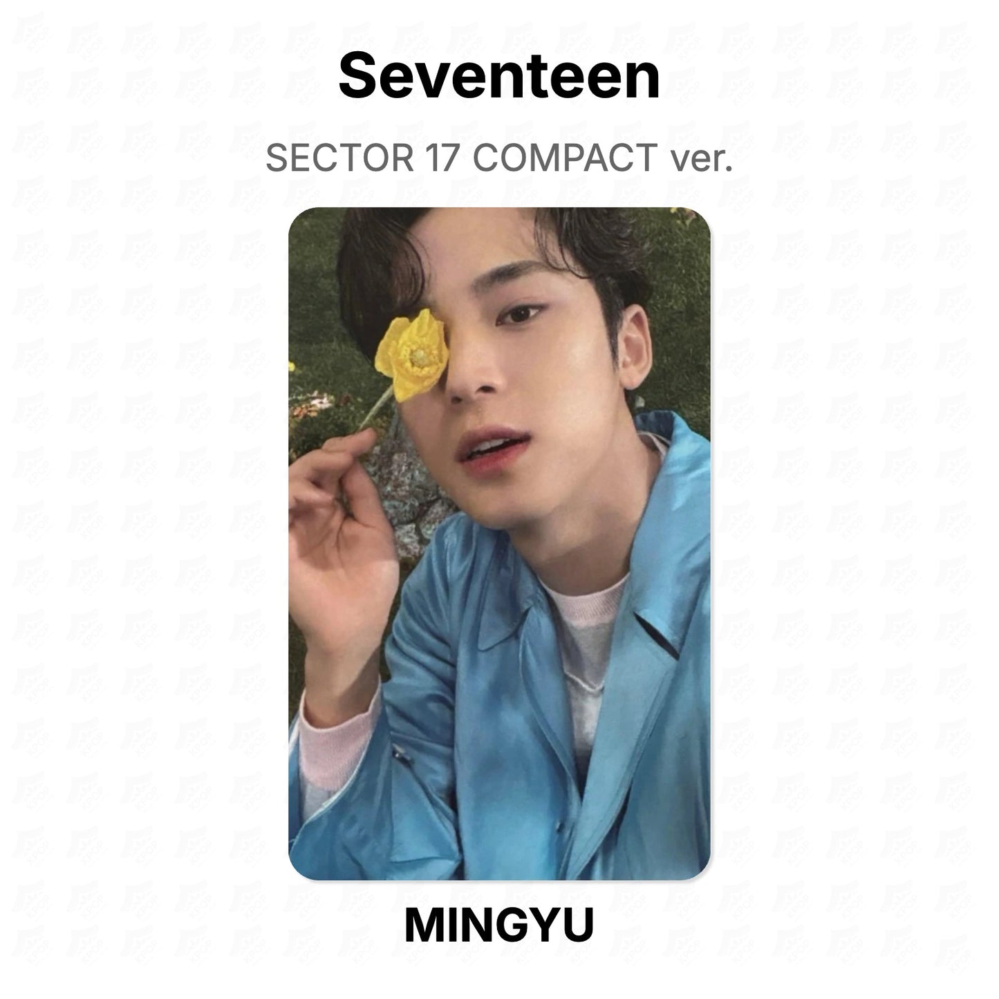 Seventeen SECTOR 17 COMPACT ver. Offizielle Photocard