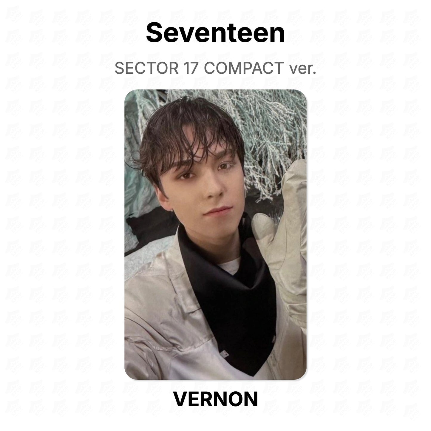 Seventeen SECTOR 17 COMPACT ver. Offizielle Photocard