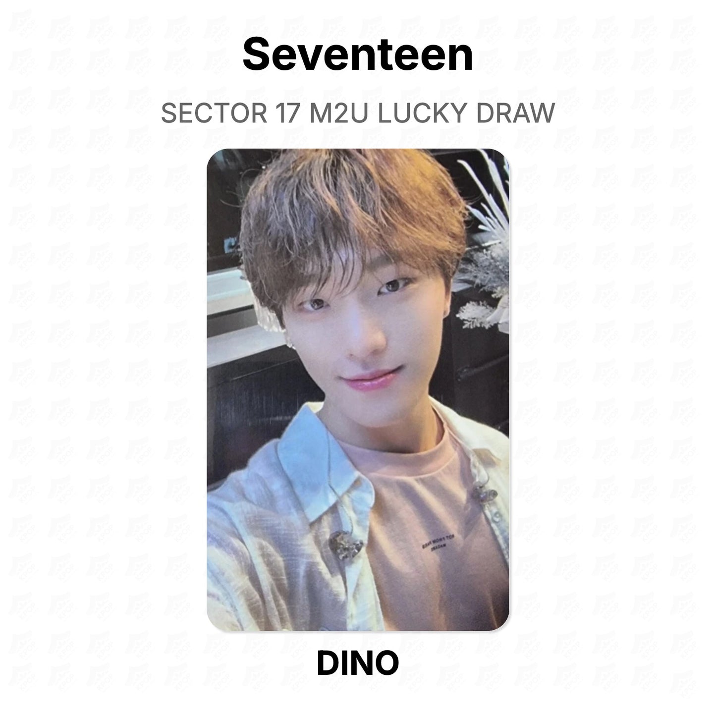 Seventeen SECTOR 17 M2U LUCKY DRAW Offizielle Photocard